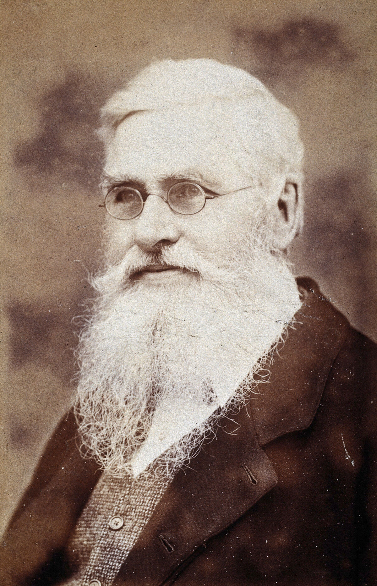 Alfred Russel Wallace, who shared the theory of natural selection with Charles Darwin, photographed by Sims in 1889